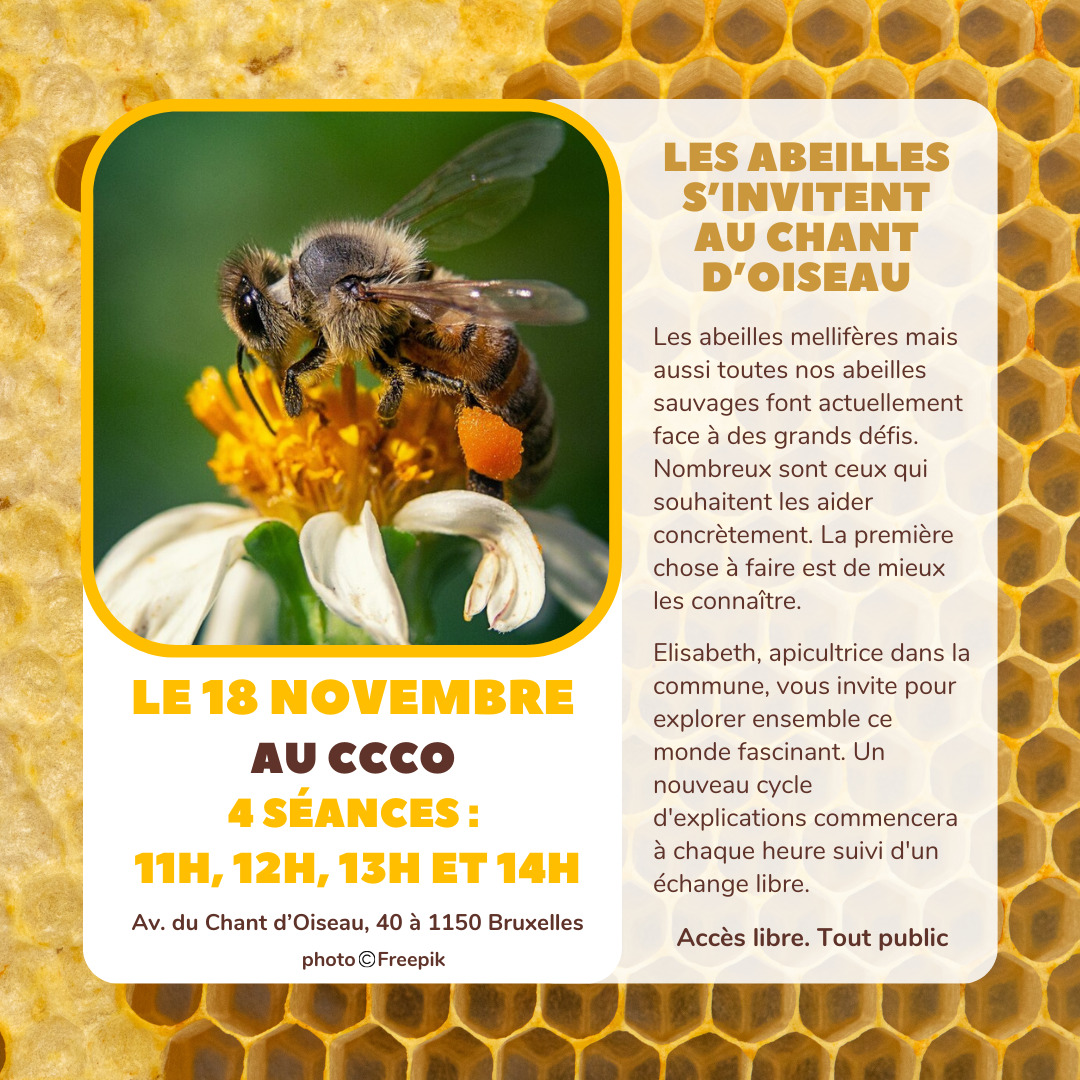 affiche abeilles CCCO 18 novembre affichage