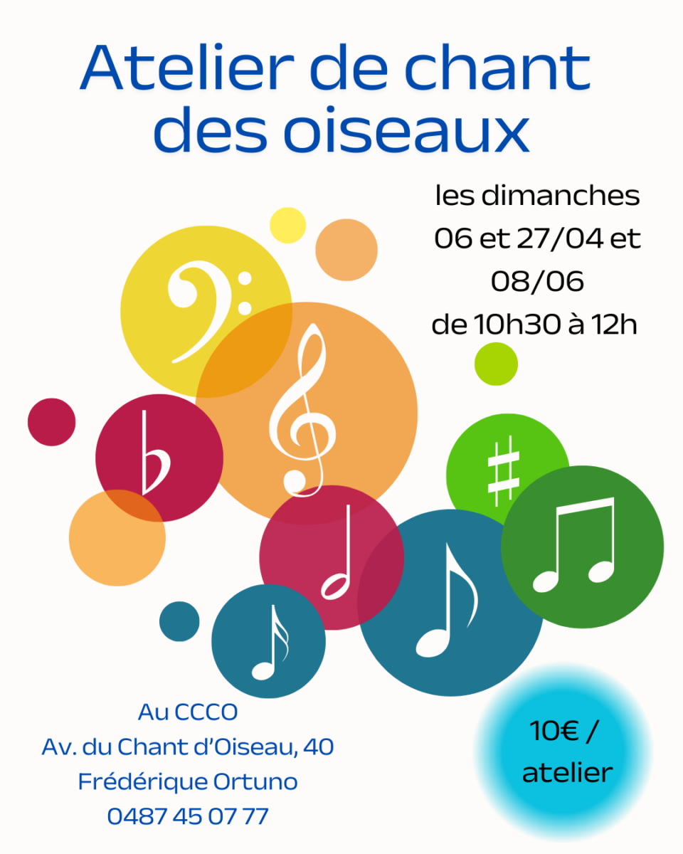 Chant – atelier des oiseaux