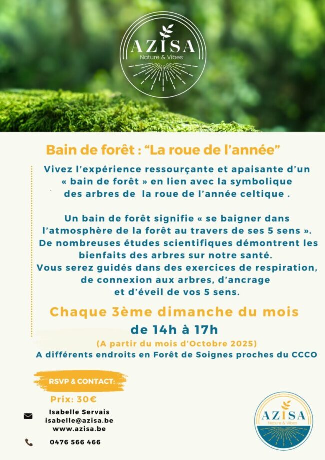 Poster-visuel Bain de forêt 3ème dimanche CCC0