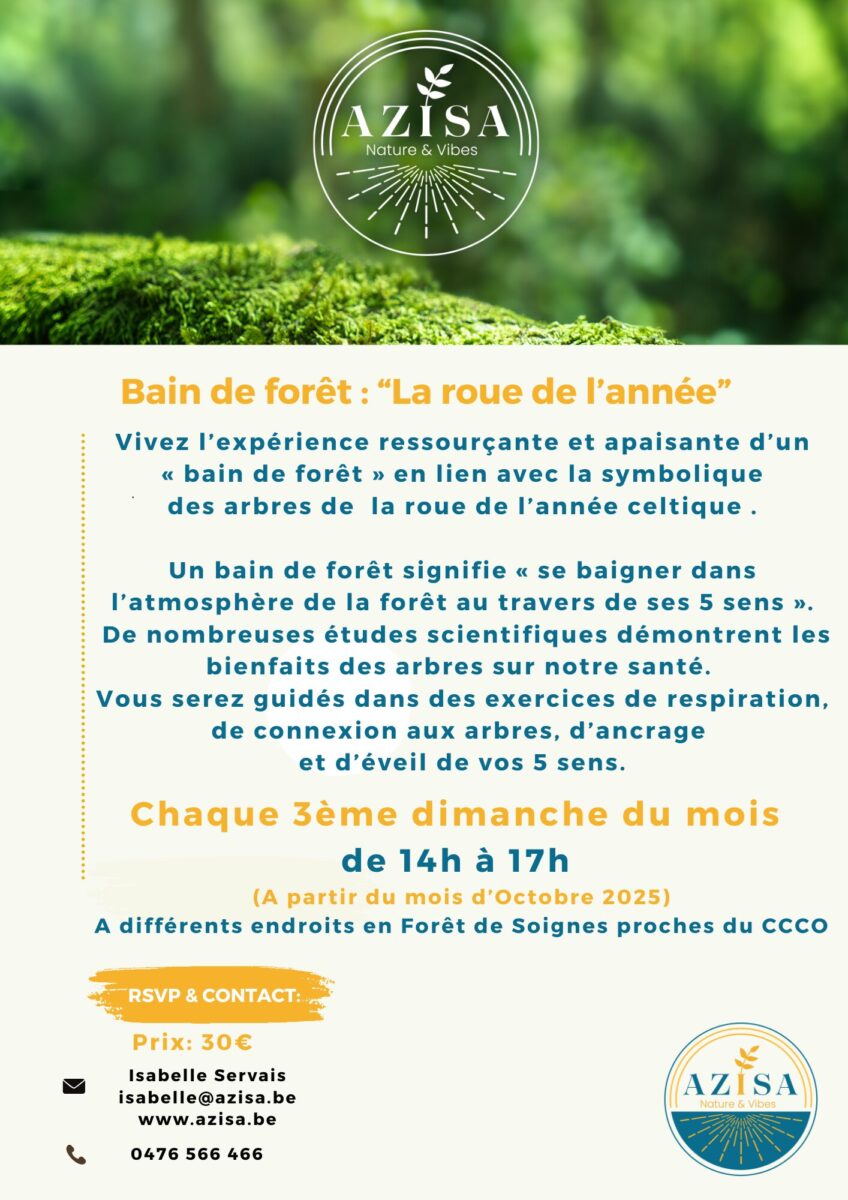 Bain de forêt : Nature et bien-être